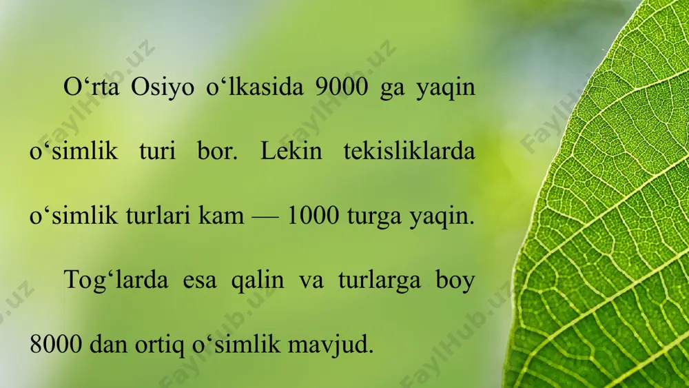 point-templates.com this presentation uses a free template provided by fppt.com www.free-power-point-templates.com dasht o‘simliklari o‘rta osiyoda qozog‘iston past tog‘larining 52° shimoliy kenglikdan shimoldagi yerlarda tarqalgan. bu yerda janubiy qora tuproqlar ustida boshoqli o‘t o‘simliklari o‘sadi. bular orasida qizg‘ish chalov, betaga, yaltirbosh va qo‘ng‘irbosh ko‘p bo‘lib, quruqroq toshloq tuproqlarda shuvoq o‘sadi. butachalardan qarag‘an, tobulg‘i, itbodom va boshqalar uchraydi. this presentation uses a free template provided by fppt.com www.free-power-point-templates.com this presentation uses a free template provided by fppt.com www.free-power-point-templates.com chalacho‘l o‘simliklari shimolda 52° shimoliy kenglikdan janubda 48° shimoliy kenglikkacha bo‘lgan yerlarda tarqalgan. bu yerda cho‘l o‘simliklarini ham, dasht o‘simliklarini ham uchratish mumkin. this presentation uses a free template provided by fppt.com www.free-power-point-templates.com bu yerda boshoqli o‘tlardan shuvoq, izen, chalov, qo‘ng‘irbosh aralash o‘sgan yerlar ko‘p. sho‘rlangan qo‘ng‘ir tuproqlarda oq shuvoq, boyalich, qora shuvoq, burgan o‘simliklari keng tarqalgan.