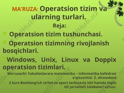 operatsion tizim vaularning turlari — PPT