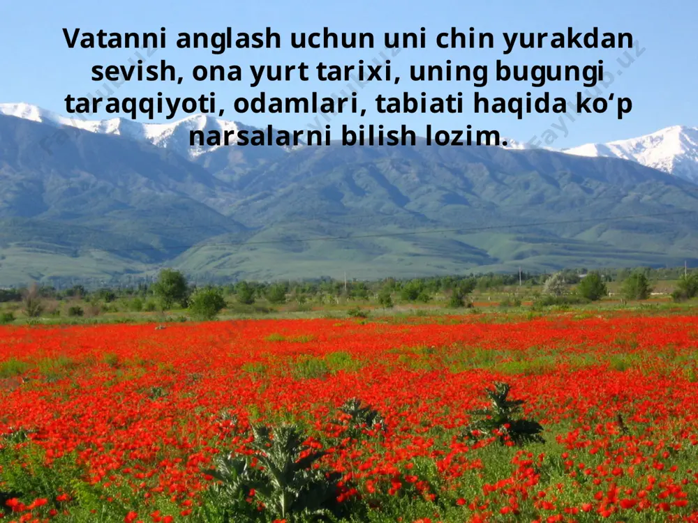 lqimizning mehrshafqati tufayli o‘zbekistonga bir umr farzandlik muhabbati bilan bog‘lanib qoldi. savol va topshiriqlar: 1. siz tez-tez mehmonga borib turasizmi? 2. mehmonda o‘zingizni qanday his qilasiz? uyda-chi? 3. qafasdagi qush bilan erkin uchib yurgan qush o‘rtasida qanday farq bor? 4. rasmlardagi uy hayvonlarining nomini ayting. ularni nima uchun uy hayvonlari deymiz? image2.jpeg image3.jpeg image4.jpeg image5.emf image6.emf image7.emf image8.jpeg image9.jpeg image10.jpeg image11.jpeg image12.jpeg image13.jpeg image14.emf image15.jpeg image16.jpeg image17.jpeg image18.jpeg image19.emf image20.jpeg image21.jpeg image1.jpeg