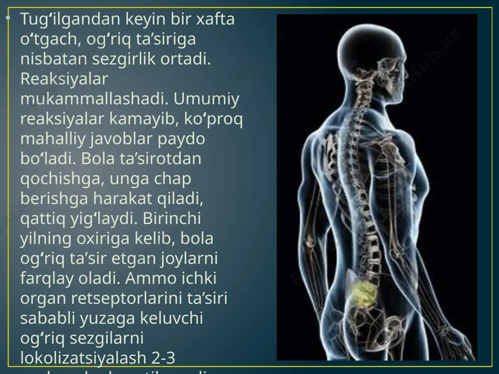 sti markaziga va nihoyat yarimsharlar po’stlog’ining orqa markaziy pushtasida joylashgan sezish markazlariga boradi. markazdagi nerv hujayralarida ta’sir analiz va sintez qilinib, og’riqning tabiati aniqlanadi. teridagi haroratni sezuvchi retseptorlarning soni 300 ming atrofida bo’lib, ulardan 30 mingtasi sovuqni, qolganlari issiqni sezadi. teri retseptorlarining muhim xossalaridan biri tashqi muhit ta’sirlariga moslashishdir. masalan, qo’l issiqroq suvga botirilganda oldi-niga issiqlik kuchli sezilib, so’ngra u bilinmay qoladi. bunga harorat sezuvchi retseptoming moslashuvi yoki adaptatsiya deb ataladi. retseptorlarning bu xossasi odam turli haroratda chiniqishiga imkon beradi. qichishish. ayrim hollarda teri qichiydi. mutaxassislarning fikricha, qichishishni va og’riqni sezuvchi retseptorlar bir xil bo’ladi. chunki og’riqni kamaytiruvchi kimyoviy dorilar og’riqni ham, qichishishni ham kamaytiradi yoki yo’qotadi. e’tiboringiz uchun rahmat!!! image1.jpeg image2.jpeg image3.jpeg image4.jpeg image5.jpeg image6.jpeg image7.jpeg /docprops/thumbnail.jpeg