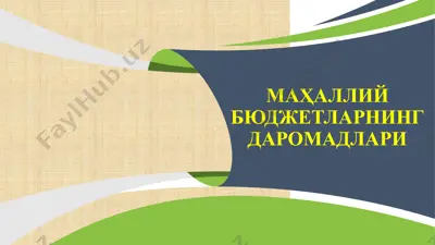 mahalliy budjetlarning daromadlari — PPTX