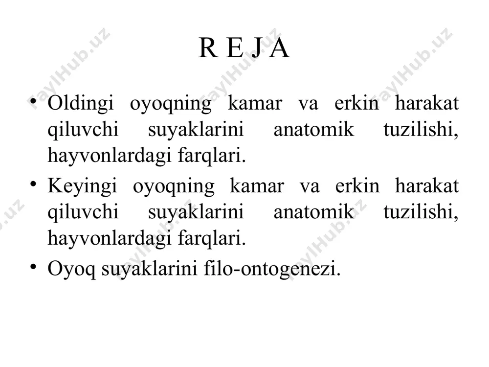 inchalik i – ii ga va iv – v ga qo‘shilib ketadi. iii bilaguzuk suyagi boshqalariga qaraganda kattaroq va so‘yri shaklda, i – ii suyakchalar esa yuqori qatordagiga o‘xshash bo‘ladi. - yuqorigi qatorning ustki yuzasida bilak, tirsak suyaklari birlashishi uchun chuqurroq bo‘g‘im maydonchasi bor. pastki qator kaft suyaklarini bo‘g‘im maydonchalari bilan birlashtiradi. kaft suyaklari - ossa metacarpi uzun, nay shaklida bo‘lib, sekin – asta rudimentlashmoqda, chunki o‘tmishdagi hayvonlarda 5 ta kaft suyagidan hozirgi bir tuyoqlilarda 3 tasi qolgan ularning ham ii – iv lari rudimentlashib bormoqda. iii kaft suyagi juda ham yaxshi rivojlangan. barmoq suyaklari – ossa digitorium har qaysi barmoqda uchta bo‘g‘imdan iborat bo‘ladi. birinchi barmoq suyagi tushoq, ikkinchisi yumaloq va uchinchisi tuyoqsimon suyak deyiladi. - birinchi barmoq suyagi - phalanx prima uzunchoq nay shaklida; - ikkinchi barmoq suyaklari - phalanx secunda boshqa suyaklarga qaraganda yumaloqroq; - uchinchi barmoq suyaklari - phalanx tertia. kunjutsimon suyaklar - ossa sesamoidea qisqa …
