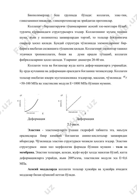 тери чўзилганда улар осон деформацияланади. терида коллаген 75% (қуруқ ҳолда) ва эластин эса 4% атрофида. юмшоқ биологик тўқималар деформацияланишини ўзига хослиги. юқорида айтилганидек, юмшоқ тўқималар катта деформацияларга учрайди ва кучланиш билан деформация орасида чизиқсиз боғланиш бўлади. шартли равишда эгри чизиқни уч қисмга бўламиз. биринчи қисмда оада кучланиш экспоненциал қонун билан ўзгаради. бу қисм биотўқима фаолиятини физиологик диапозонига тўғри келади. ав қисмда кучланиш ва деформацияга деярли чизиқли ҳолда боғлиқ. учинчи вс қисмида чизиқсиз боғланиш кузатилади. с нуқтада узилиш рўй беради. оа қисми нисбатан кичик юкларда содир бўлади. экспериментларда бошланғич ўлчамларни аниқ олиш муҳимдир (2.4-расм). 2.4-расм. юмшоқ тўқималарда бошланғич ҳолатни билиб бўлмаслиги муаммодир. тирик тўқималарда кўпчилик ҳолда кучланган ва даврий равишда юкланиб туради. агар тирик организмдан кесиб олинган тўқима текширилса, у кесилган-дан кейин қисқаради ва структура ўзича қайта қурилади. 2.5 -расм экспериментларни унифика-циялаш (умумлаштириш) ва нати-жаларни таққослаш имконини яратиш учун намуналарни олдиндан “тренировка” қилиб (юклаб ва юкни олиб бир неча марта қайтарилади) …