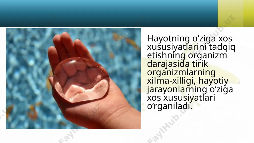 logik rivojlanishini biologik faol moddalar stimulatorlar – fitogormonlar (auksin, gibberellin, sitokinin) boshqaradi. bir va ko‘p hujayrali organizmlar va ularning hayot faoliyatidagi o‘zi ga xos xususiyatlar. barcha tirik organizmlarda harakatlanish, nafas olish, oziqlanish, ayirish, modda va energiya almashinuvi, ichki va tashqi muhit omillariga qo‘zg‘alish orqali javob qaytarish, himoyalanish, o‘sish, rivojlanish, ko‘payish orqali irsiy axborotni nasldan naslga o‘tkazishi kabi hayotiy jarayonlar kuzatiladi barcha tirik organizmlarda harakatlanish, nafas olish, oziqlanish, ayirish, modda va energiya almashinuvi, ichki va tashqi muhit omillariga qo‘zg‘alish orqali javob qaytarish, himoyalanish, o‘sish, rivojlanish, ko‘payish orqali irsiy axborotni nasldan naslga o‘tkazishi kabi hayotiy jarayonlar kuzatiladi. bir hujayrali organizmlar biosferada muhim o‘rin tutadi. ular orasida fotosintezni amalga oshiradigan avtotrofl ar (yashil suvo‘tlari, sianobakteriyalar) suvo‘tlari bilan oziqlanadigan fitotroflar, yirtqich va parazitlik qiladigan geterotroflar, o‘simlik va hayvon qoldiqlari bilan oziqlanadigan saprofitlar mavjud. ko‘p hujayrali organizmlarning tanasi muayyan sondagi va aniq vazifani bajarishga ixtisoslashgan to‘qima, organlar va organlar sistemasidan iborat. ular tanasidagi hujayralar bajaradigan …