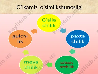 o’lkamiz o’simlikshunosligi — PPTX