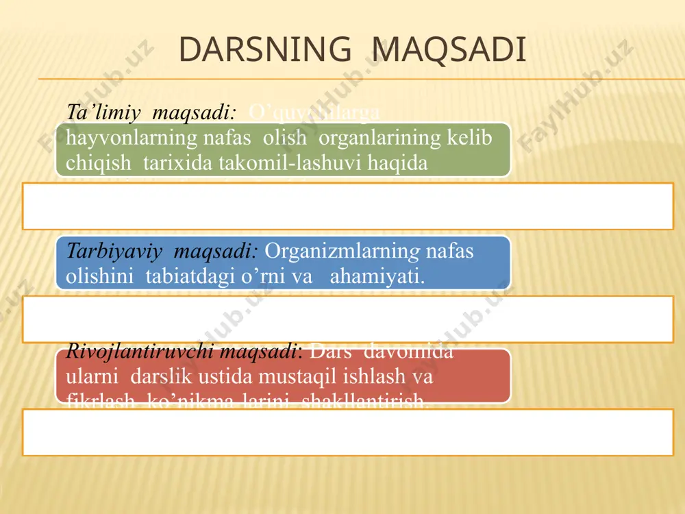 alqum qismida kesishadi. sutemizuvchilarda diafragma muskul to’qimasi yaxshi rivojlangan bo’lib,nafas olish harakatlarida juda muhim ahamiyatga ega . odamning embrional rivojlanishida barcha umurtqalilardagi kabi nafas yo’li bilan hazm qilish sitemasining boshlang’ich qismi uzviy bog’langan.bola tug’ilganda nafas olish sistemasi to’liq rivojlanmagan bo’ladi. odamlarda nafas olish tizimining takomillashishi balog’at yoshiga qadar davom etadi . xulosa shunday qilib, umurtqalilarning nafas olish tizimi ularning yashash muhitiga bog’liq holda rivojlanib, evolutsiya davomida nafas yo’llari ixtisoslashgan, nafas muskullari takomillashgan va gaz almashish sathi ortgan . uyga vazifa darslikdan mavzuni o’qib bilimini mustahkamlash va savollarga javob yozish mustaqil bajarish uchun mavzu yuzasidan berilgan jadvalni to’ldirish etiboringiz uchun raxmat ! image7.png image8.png image9.jpeg image10.jpeg image11.jpeg image12.jpeg image13.jpeg image14.jpeg image15.jpeg image16.jpeg image17.jpeg image18.jpeg image19.jpeg image20.jpeg image21.jpeg image22.jpeg image23.jpeg image24.jpeg image25.png image26.wmf image4.jpeg /docprops/thumbnail.jpeg