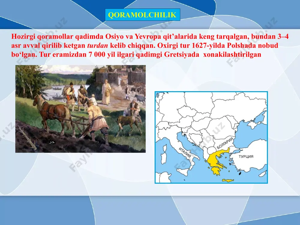 ko‘l qo‘yi va uning qo‘zisi 2 – hisor qo‘yi yilqichilik otlar miloddan taxminan 3 000 yil ilgari xonakilashtirilgan. xonaki otlarning ajdodi bir vaqtlar yevropa cho‘llarida yashab, hozir qirilib ketgan tarpan hisoblanadi. otlar og‘ir yuk tortadigan, salt miniladigan, yengil yuk tortadigan (yo‘rg‘a), go‘sht va qimiz uchun urchitiladigan zotlarga bo‘linadi. og‘ir yuk tortadigan otlardan vladimir zoti, salt miniladigan otlardan o‘zbekistonda yetishtirilgan qorabayir, tojikiston va turkmanistonning laqay va axaltaka zotlarini, yengil yuk tortadigan otlardan orlov yo‘rg‘asi va rus yo‘rg‘asini ko‘rsatish mumkin. 1 – yovvoyi ot – tarpan; 2 – og‘ir yuk tortadigan vladimir oti; 3 – orlov yo‘rg‘asi; 4 – qorabayir mustahkamash savollarga javob bering 1. qoramol zotlari xo‘jalikda foydalanishiga binoan qanday yo‘nalishlarga bo‘linadi? 2. o‘zbekistonda qoramollarning qaysi zotlari boqiladi? 3. qo‘ylarning qanday zotlari mavjud? 4. o‘zbekistonda qo‘ylarning qaysi turlari boqiladi? 5. otlardan qanday maqsadlarda foydalaniladi? 6. otlarning qanday zotlari mavjud? testlarni ishlang 1. hozirgi qoramollar eramizdan 7 000 yil ilgari: a) qadimgi …