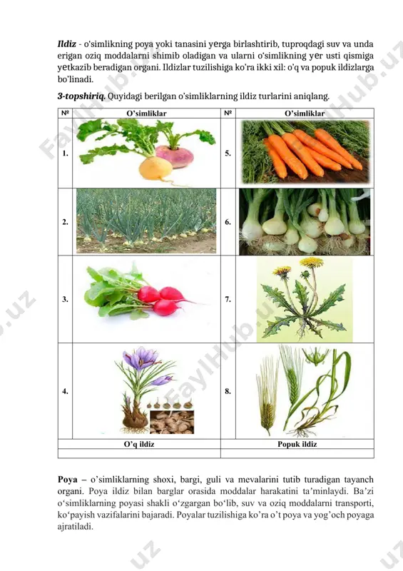 arni ajrating. oddiy barg murakkab barg 6-topshiriq. feniologik kuzatuvlaringiz asosida oddiy va murakkab barglarini ajrating. oddiy va murakkab barglar o‘simlik nomi oddiy barg uchbarg-chali panjasi-mon juft patsi-mon toq patsi-mon beda makkajo‘xori kashtan yeryong‘oq shirinmiya o‘rik na‘matak gul - yopiq urugʻli oʻsimliklarning generativ organi bo’lib shakli oʻzgargan novda hisoblanadi. gul tuzilishiga ko’ra asosan ......, ......... va .........dan tuzilgan. 7-topshiriq. gul tuzilishidagi qismlarni nomini yozing. gul qismlarining nomi 1. 2. 3. 4. 5. 6. 7. 8-topshiriq. jadvalda berilgan o’simliklardan to’g’ri va qiyshiq guli o’simliklarni ajrating. № o’simlik nomi № o’simlik nomi gul turi raqam 1. qo’ng’iroqgul 8. sebarga zigomorf 2. parpi 9. burchoq 3. lola 10. behi 4. angishonagul 11. na’matak aktinomorf 5. kiyiko’t 12. gilos 6. olma 13. gunafsha 7. suvyig’ar 14. yantoq meva-o’simliklarning generativ organi. mevalar ho’l va quruq mevalar bo’ladi. urug’ – o’simliklarning ko’payish organi hisoblanadi. urug’lar bir va ikki urug’pallali o’simliklar. bir urug’ pallali ikki urug’ pallali 9-topshiriq. …
