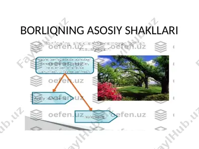 borliqning asosiy shakllari — PPTX