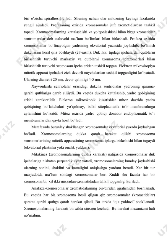 da ma’lum sondagi xromosomalar bor. xuddi shu fazada har bir xromosoma bir xil ikki nusxadan-xromatidadan tahkil topganligi kuriladi. anafaza-xromosomalar xromatidalarning bir-biridan ajralishidan boshlanadi. bu vaqtda har bir xromosoma hosil qilgan qiz xromosomalar (xromatidalar) qarama-qarshi qutbga qarab harakat qiladi. bu tarzda “qiz yulduzi” shakllanadi. xromosomalarning harakati bir xilda sinxron kechadi. bu harakat mexanizmi hali no‘malum. telofaza-mitozning ohirgi davri. uning boshlanishi, xromosomalarini dukning hujayraning qarama-qarshi qutblariga yetishiga to‘qri keladi. telofaza go‘yo profazaning teskarisi bo‘lib, hamma jarayonlar teskari tartibda ketadi. duk yo‘qoladi, buralgan xromosomalar yoyilib, uzunlashadi. qiz yadrolar qaytadan tiklanadi, yadrocha va yadro qobig‘i hosil bo‘ladi. mitotik apparat parchalanadi va hujayra tanasining bo‘linishi ro‘y beradi g‘sitotomiya yoki sitokinez. qiz hujayralari yadrosi interfazadagi hujayralarga xos tuzilishga ega bo‘ladi. sitotomiya mexanizmi hali yetarli o‘rganilmagan. endomitoz. mitoz va meyozdan farqli ravishda endomitozda yangi yadro hosil bo‘lmaydi va hujayra bo‘linmaydi. endomitozda xromosomalarning o‘zgarishi yadro qobig‘i buzilmay davom etib, xromosomaning spirallanishidan boshlanadi. bu davrda xromosomalar yaxshi ko‘rinadi-endoprofaza. endoanafazada …