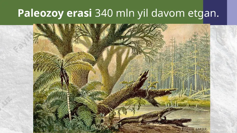 aland bo‘lib o‘suvchi qirqquloqlar, qirqbo‘g‘imlar, plaunlardan dastlabki o‘rmonlar hosil bo‘lgan. bo‘g‘imoyoqli hayvonlarning ayrim guruhlari havo bilan nafas olishga o‘tishi tufayli ko‘poyoqlilar va dastlabki hasharotlar rivojlangan. toshko‘mir davrida iqlim nam, havoda karbonat angidrid ko‘p bo‘lgan. quruqlikdagi pasttekisliklarda botqoqli yerlar ko‘p uchragan. ularda balandligi 40 m ga yetadigan qirqquloqlar, qirqbo‘g‘imlar, plaunlar o‘sgan. bulardan tashqari ochiq urug‘li o‘simliklar paydo bo‘lgan. daraxtsimon o‘simliklarning yoppasiga halok bo‘lishi o‘sha joylarda keyinchalik ko‘mir qatlami hosil bo‘lishiga olib kelgan. suv hamda quruqlikda yashovchilarning dastlabki vakillari hisoblangan stegotsefallar nihoyatda ko‘p va xilma-xil bo‘lgan. uchuvchi hasharot – suvaraklar, ninachilar rivojlangan. perm davrining boshlariga kelib iqlim bir muncha quruq va sovuq bo‘lgan. bunday sharoitda suvda hamda quruqlikda yashovchilarning anchagina qismi qirilib ketgan. yashash uchun kurash, tabiiy tanlanish suvda hamda quruqlikda yashovchilarning ma’lum guruhining o‘zgarishiga sabab bo‘lgan. keyin ulardan sudralib yuruvchilar sinfi ning vakillari kelib chiqqan. savol va topshiriqlar paleozoy erasi nechta davrdan iborat? dastlabki quruqlik o‘simliklari qaysi davrda kelib chiqqan? dastlabki …