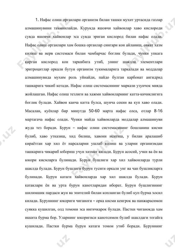 билан боглик булиб, бурун суяги хамда юкориги чиганок уртасида жойлашади. буруннинг урта йули юкориги ва пастки йуллар уртасида жойлашган. буруннинг пастки йули-пастки чиганок остида, танглай суяги устида жойлашиб анчагина кенг булади. буруннинг умумий йули бурун тусиги ва чиганоклари уртасида жойлашади. корамолларнинг бурнида бурун-лаб кузгуси булиб, у бурун юкориги лаб-бурун атрофи ва тешигини ураб олади. кавш кайтарувчи майда хайвонларнинг бурун-лаб кузгуси учбурчак, бурун тешиги шаклда булади. чучкаларнинг бурнида серхаракат хартумча бор, унинг усти тери билан копланган, терида таъсир сезувчи жунлар, безлар ва рецепторлар булади. бурун бушлиги кенг ярим ой шаклида буруннинг ён каноти териси ички томонга бурилиб, дивертикула хосил килади. 2. хикилдок мураккаб тузилган орган булиб, бурун бушлигидан утаётган хавони кекирдакка утказиш учун хизмат килади. у тил ости суягига ва бир томондан тил хамда томокка богланган. хикилдокхаво утказишдан ташкари овоз чикаришда овкат моддаларни томокка утказишда катта роль уйнайди. хикилдок тогайларининг ички шилимшик пардаси хисобидан овоз лаблари ва унинг пайи хосил булиб, …
