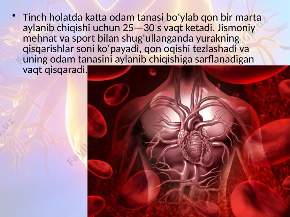 qonning tomirlar bo‘ylab harakatlanishi. 8 - sinf - Page 5
