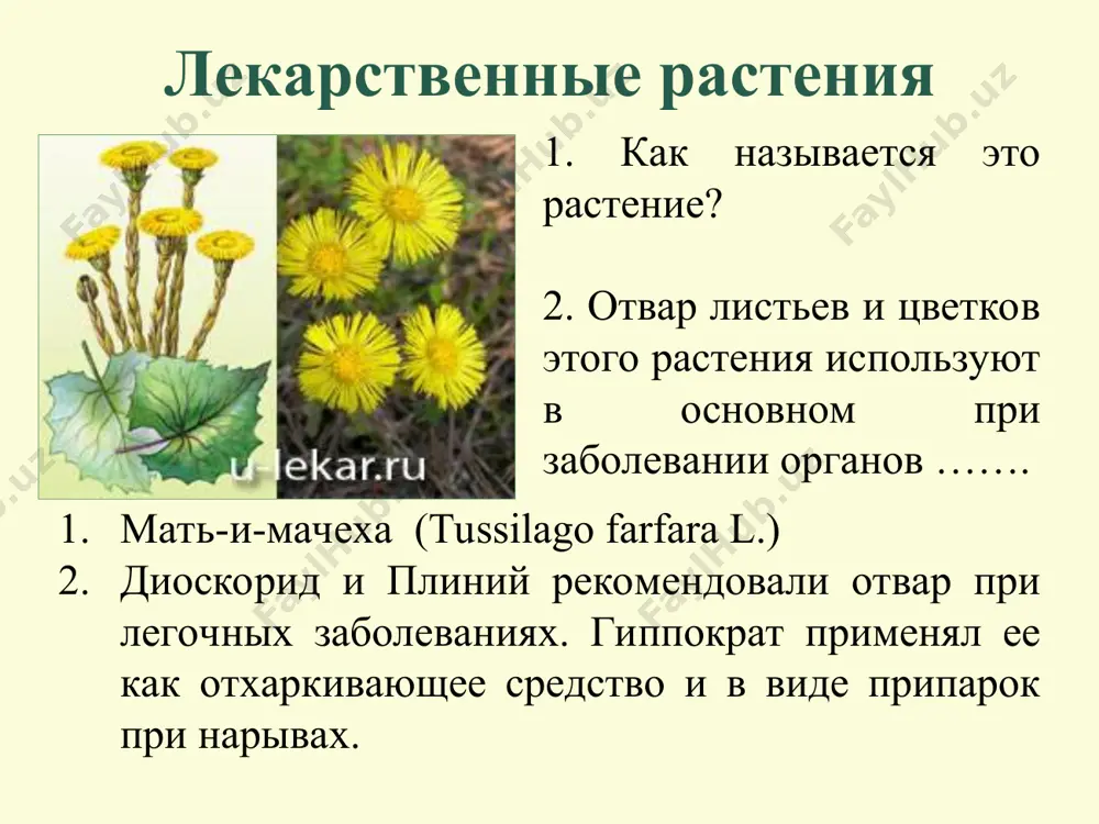 "игра «юный натуралист»" - Page 5