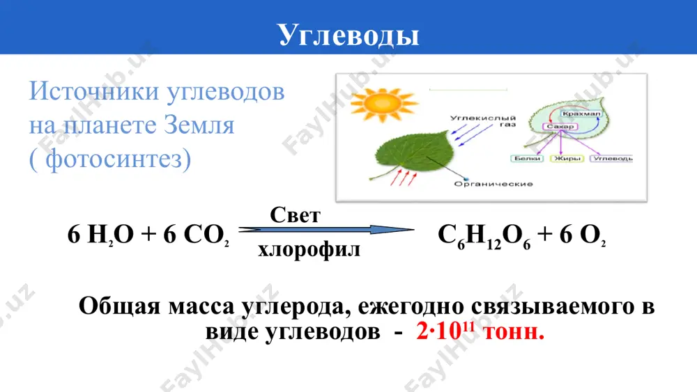 дисахариды. полисахариды - Page 4