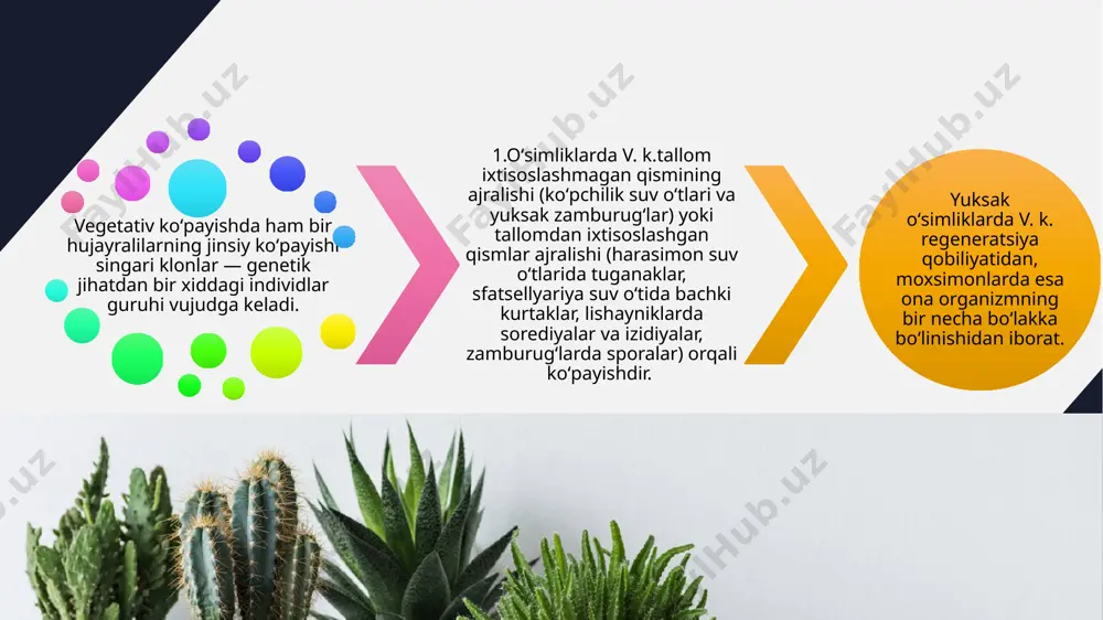 n o`simlikka nisbatan tez hosilga kirib, nav xususiyatlari to`liq saqlanadi. madaniy oʻsimliklarni vegetativ koʻpayishi. qalamcha yordamida anor, anjir, tok, terak, jiyda, malina, atirgul kabi oʻsimliklarni koʻaytirish mumkin. tokdan kuzda kesish vaqtida 45-50 sm uzunlikdagi qalamchalar tayyorlanib nam yerga koʻmib qoʻyiladi. erta bahorda kaltaklar olinib maydonlarga ekiladi. tuganaklari orqali koʻpayadigan oʻsimliklar ham bor. tokdan kuzda kesish vaqtida 45-50 sm uzunlikdagi qalamchalar tayyorlanib nam yerga koʻmib qoʻyiladi. erta bahorda kaltaklar olinib maydonlarga ekiladi. tuganaklari orqali koʻpayadigan oʻsimliklar ham bor. bularga kartoshka, batat, shoyigul kiradi. payvandlash deb bir oʻsimlikning bir qismini ikkinchi oʻsimlikka oʻrnatishga aytiladi. adabiyotlar: oʻzme. birinchi jild. toshkent, 2000-yil oʻ.pratov, a.s.toʻxtayev.botanika 6 sinf darsligi oʻ.pratov va boshqalar. botanika 5 sinf darsligi botany.uz arxiv.uz e’tiboringiz uchun raxmat image1.jpeg image2.png image3.jpeg image4.jpeg image5.png image6.png image7.png image8.png image9.jpeg image12.png image13.jpeg /docprops/thumbnail.jpeg