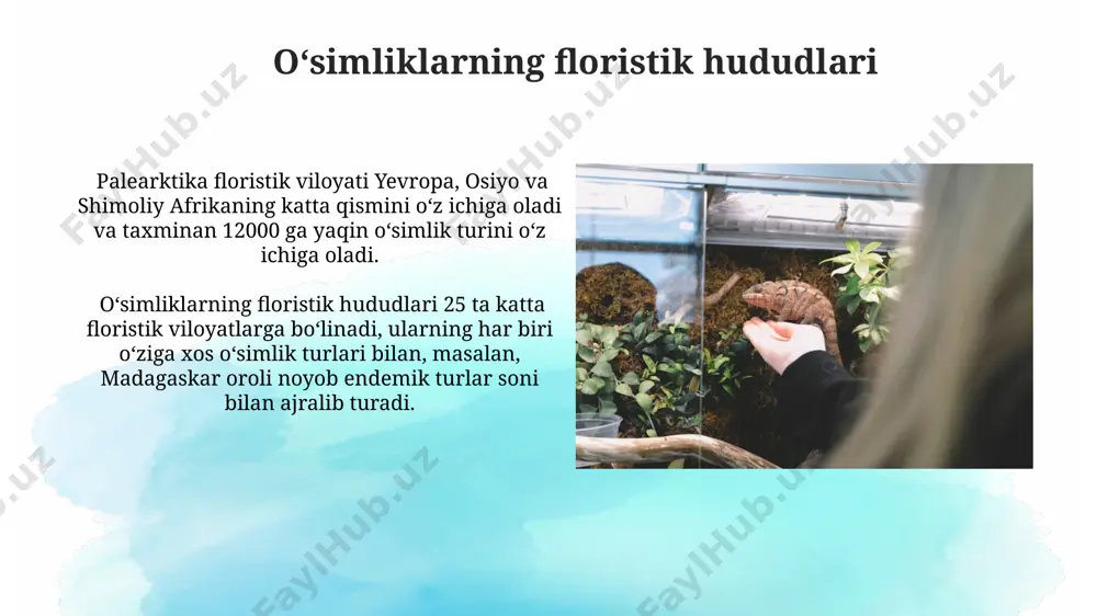 o'simliklar geografiyasi asoslari - Page 4