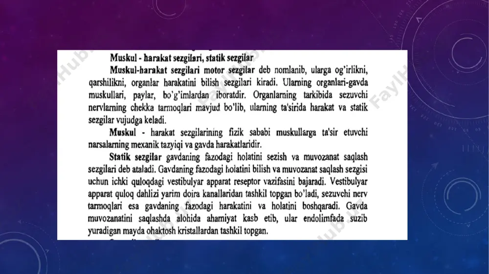 sezgi - Page 4