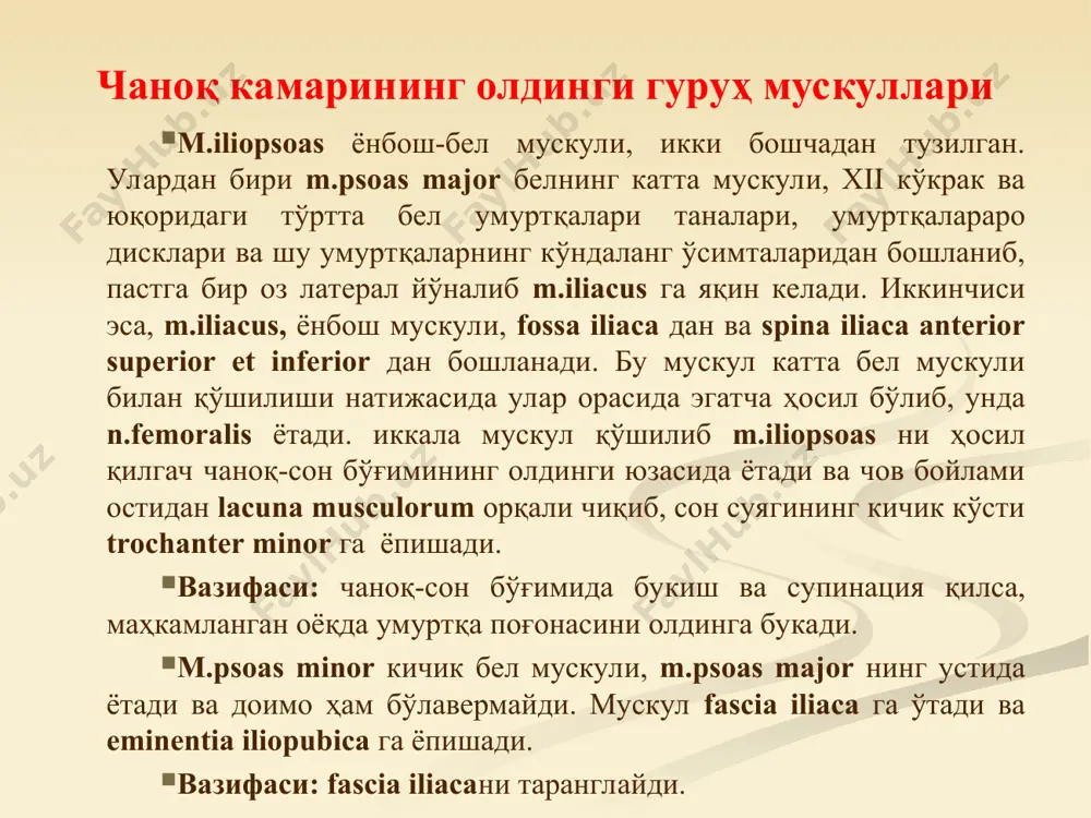 ik mushagi(1). dumbaning o`rta mushagining ostida yotadi(2). 1 2 3 3 4 5 sonning kvadrat mushagi(8). qo’ymich bo’rtig’idan boshlanadi(6). son suyagi katta ko’stiga birlashadi(7). sonni tashqariga buradi. 1 1 2 3 4 5 6 7 8 yuqorigi(1) va pastki(2) egizak mushaklar. qo`ymich o’simtasi va bo’rtig’idan boshlanadi. ko’st chuqurchasiga birlashadi. sonni tashqariga buradi. 1 2 3 4 5 6 7 8 9 10 11 sonning serbar fassiyasini taranglovchi mushak(1). chanoq suyagi oldingi yuqorigi qirrali o’simtasidan boshlanadi(2). sonning serbar fassiyasiga birlashib ketadi(3). sonni bukadi, sonni serbar fassiyasini taranglashtiradi. 1 2 3 son mushaklari oldingi guruh orqa guruh medial guruh сон мускуллари сон мускуллар узун суяклардан иборат ричагларни ҳаракатга келтиради, гавда вертикал ҳолда, ғоз юришида иштирок этади. сон мускуллари уч гуруҳга бўлинади. 1. олдинги (ёзувчи) мускуллар 2. орқа (букувчи) мускуллар 3. медиал (яқинлаштирувчи) мускуллар соннинг олдинги гуруҳ мускуллари m.guadriceps femoris соннинг тўрт бошли мускули, сон соҳасини олд ва қисман ён юзасини эгаллаб, бир-бири …