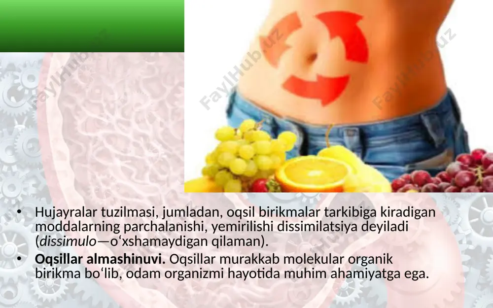 moddalar va energiya almashinuvi haqida umumiy tushuncha. 8 - sinf - Page 4