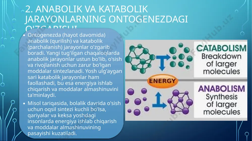 tibbiyotda ovqatlanish nazariyasi va parxez stollari - Page 5