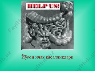 йўғон ичак касалликлари — PPT