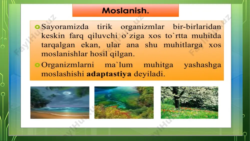 inson va geografik muhit - Page 5