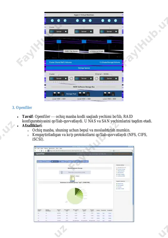 virtual muhitda raid tizimi bilan ishlash uchun dasturiy ta'minotni tanlash - Page 3