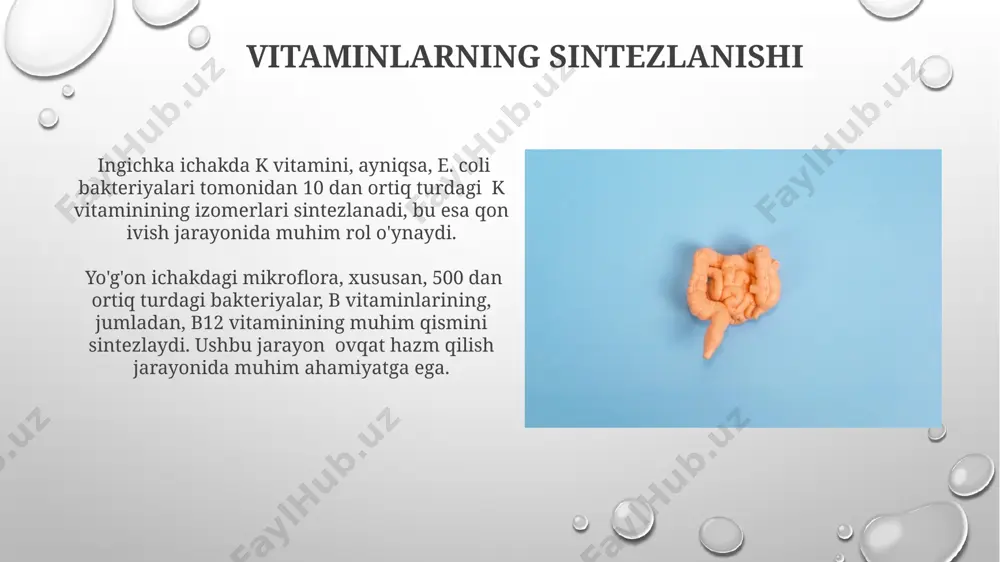 darajasiga (taxminan 7,0-8,0) bog'liq. enteropeptidaza, ingichka ichak devorlarida ishlab chiqariladigan bir ferment bo'lib, tripsinogenni tripsinga faollashtiradi, tripsin esa o'z navbatida boshqa oqsil parchalanish fermentlarini faollashtirib, protein hazm qilishni ta'minlaydi. sog'lom ichak uchun maslahatlar jismoniy faollik ichak harakatini yaxshilaydi. kuniga kamida 30 daqiqa yurish yoki sport bilan shug'ullanish toshkent shahrida yashovchilar uchun ham foydalidir. ichak mikrobiotasini yaxshilash uchun probiyotiklarga boy kefir yoki ayran kabi sut mahsulotlarini kuniga 2-3 marta iste'mol qilish tavsiya etiladi, bu esa ichak sog'lig'ini 30% ga yaxshilaydi. so'rilish jarayoni ichakdagi so'rilish jarayonida 12 soat davomida taxminan 7 litr suv, elektrolitlar va boshqa moddalar so'riladi, bu esa organizmning suv-tuz muvozanatini saqlashda muhim rol o'ynaydi. katta ichakda, ayniqsa, to'g'ri ichakning distal qismida, natriy ionlari (na+) va xlor ionlari (cl-) faol ravishda so'riladi, bu esa suvning osmotik yo'l bilan harakatlanishiga va qoldiq massaning qalinlashishiga olib keladi. yo'g'on ichakning tuzilishi yopiq ichak devori peyer plastalari deb ataluvchi limfatik to'qimalar bilan qoplangan bo'lib, …