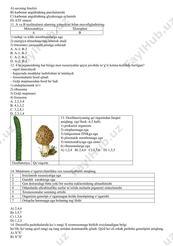 etik qiymati haqidagi ma’lumotlar to‘g‘rimi? 1. 100 g yog‘ to‘liq parchalanganda 3980 kj energiya hosil bo‘ladi. 2. 1 gramm oqsilning to‘liq parchalanishi natijasida 38,9 kj energiya ajralib chiqadi. a. har ikki ma’lumot noto‘g‘ri b. faqat 2-ma’lumot to‘g‘ri c. har ikki ma’lumot to‘g‘ri d. faqat 1-ma’lumot to‘g‘ri 10. fotosintez jarayonida kislorod … natijasida hosil bo'ladi: a) suvning fotolizi b) karbonat angidridning parchalanishi c) karbonat angidridning glyukozaga aylanishi d) atf sintezi 11. a va b tuzilmalarni ularning xususiyati bilan muvofiqlashtiring. mitoxondriya xloroplast a b 1) tashqi va ichki membranalarga ega 2) energiya almashinuvida ishtirok etadi 3) fotosintez jarayonini amalga oshiradi a. a-3; b-2 b. a-1; b-2 c. a-2; b-1 d. a-2; b-3 12. 4 ta organoidning har biriga mos xususiyatlar qaysi javobda to‘g‘ri ketma-ketlikda berilgan? – oqsil sintezlaydi – hujayrada moddalar tashilishini ta’minlaydi – lizosomalarni hosil qiladi – golji majmuasidan hosil bo‘ladi 1) endoplazmatik to‘r 2) ribosoma 3) golji majmuasi 4) lizosoma …