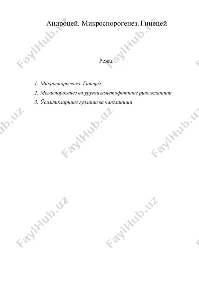 андроцей. микроспорогенез. гинецей — DOC