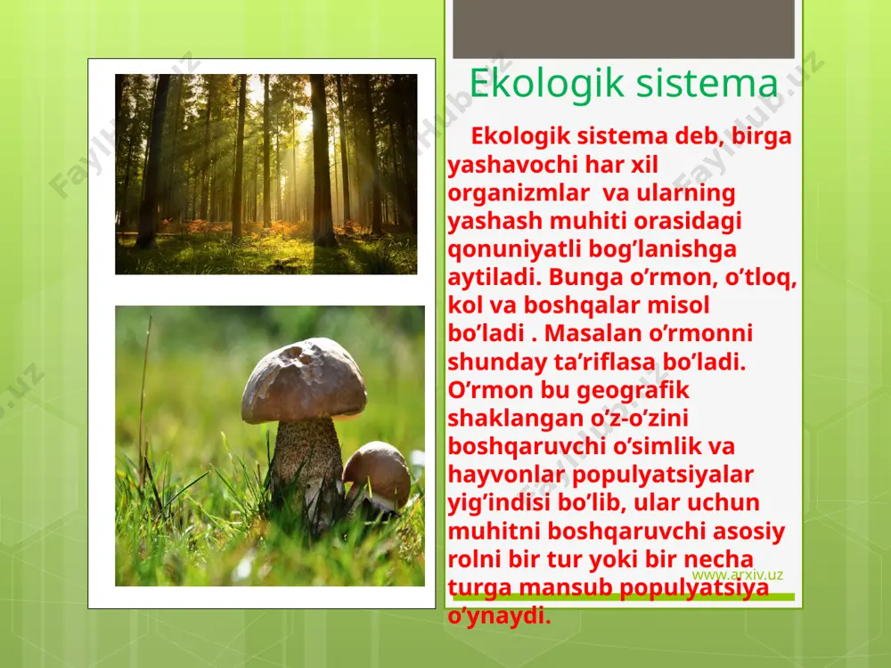 ishi suv ekosistemalarda baliqlar boshqa suv hayvonlari va suv o’tlari har xil chuqurliklarda yashaydi suv bilan yerdagi ekosistemalar orasidagi farq ularni yaratuvchi muhitda qayd etadi. suv havzalari ikkita katta guruhga bo’linadi. 1. tinch turib qolgan suv havzalari yoki lektik muhit. bunga ko’llar, havzalar, botqoqliklar kiradi. 2. oqar suvlar – lotik muhit bunga daryolar va soylar suvlar termodinamik harakteristikasi, yorug’likni o’tkazish hususiyati, oqim tezligi, sho’rligi va unda erigan gazlarning miqdori bilan harakterlanadi. www.arxiv.uz www.arxiv.uz tinch yoki lentik suv havzasida 3 zonani ajratish mumkin. 1. letoran zona – suvning chuqur bo’lmagan qismi- yorug’lik suv tubigacha yetib boradi. bu yerda yuksak o’simliklar va ba’zi bir suv o’tlari uchraydi. 2. linnik zona – suvning undan pastroq qismi bo’lib bunga kam yorug’lik tushib boradi. bu zonadan keyin esa yorug’lik tushmaydi. natijada biomassa to’planmaydi. 3. profundal zona – bu joyga yorug’lik tushmaydi www.arxiv.uz e’tiboringiz uchun tashakkur www.arxiv.uz image2.jpeg image3.jpeg image4.jpg image5.jpeg image6.jpeg image7.jpg image8.jpg image9.jpg image10.jpeg …