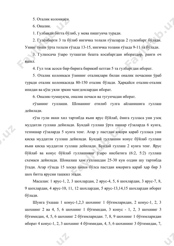 н. чаноқлар етилганда чаноқнинг устки томони унинг ички серет қисмига нисбатан тезроқ ва илгарироқ қурийди, шунинг учун ҳам у бужмайиб чаноқлар сиртига очилади. тўлиқ пишиб-етилмаган кўсаклар совуқ ургандан сўнг бироз очилади, баъзан очилмай қолади. буни кўрак дейилади. ғўза ўсиш даврида хосил органларининг (шона, гули, тугунчаси) кўпгина қисми тўкилади. хосилнинг тўкилиши ички конусдан ташқи конусга қараб кўпайиб боради, пастдан юқорига қараб камрок тўкилади. хосил органларининг 60-70%, баъзан 80-90% ҳам тўкилиши мумкин. ингичка толали ғўзаларда хосил орган ўрта толалига қараганда деярли 2 баровар кам тўкилади. ҳарбир кўсакда ундаги чаноқлар сонига қараб 25-50 атрофида чигит бўлади. демак ҳарбир чаноқда 5-10 чигит бўлиши мумкин. улар марказий чигитбанддан иборат тўсиқнинг икки томонига икки қатор бўлиб жойлашади. бир туп ғўзада тўлиқ кўсаклар сони 10-12 дан 50-100 тагача ва ундан ҳам кўпроқ кўсак бўлиши мумкин. бу ғўзанинг тури, нави, агротехника шароити, энг муҳими туп сон қалинлигига боғлиқ. чигит. ғўзанинг кўсакда етилган уруғи (чигит) дейилади. ҳарбир кўсакда (мевада) …