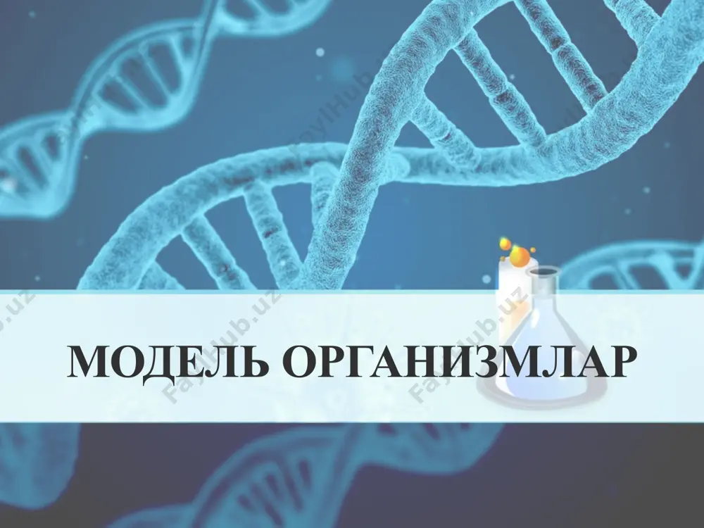 енлар генларнинг дупликацияси туфайли, кейинчалик мутация нусхаларининг инактивацияси билан ҳам ҳосил бўлиши мумкин. баъзи псевдогенлар мрнк дан кўчирилиши ва хромосомаларга қўшилиши мумкин; бундай кетма-кетликлар қайта ишланган псевдогенлар (ретропсевдогенлар) деб аталади. бироқ, улар ҳам ишламайди. псевдогенлар оддий функционал генлардан келиб чиқади, лекин мутациялар натижасида (стоп кодонларининг пайдо бўлиши, кодонлар силжиши ва бошқалар) ўзининг экспрессияланиш қобилиятини йўқотади. 33 қайта ишланган псевдогенлар (ретропсевдогенлар) сони, ўртача, ўзининг аввалги функционал генлариникидан кўпроқ кузатилади. баъзида қайта ишланган псевдогенлар сони мос келадиган функционал генлар сонидан бир неча даражага ошиб кетиши мумкин. масалан, характерли alu1-эндонуклеаза рестрикция сайтини ўз ичига олган alu такрорий оиласи. псевдогенлар генетик кетма-кетлигини таҳлил қилиш ва уларнинг аввалги генлари билан таққослаш тирик организмлар ўртасидаги қариндошлик даражасини ва уларнинг келиб чиқишини ўрганишда қўлланилиши мумкин. 34 псевдогенлар 35 псевдогенлар 36 геномнинг кодланмайдиган элементлари 37 генлар ўхшашлиги генларнинг 90% генларнинг 99% одам геномида таркибида 223 та ген ичак таёқчаси бактерияси генларига ўхшашдир. бундай «генларни мерос» қолиши эволюцияда организм …