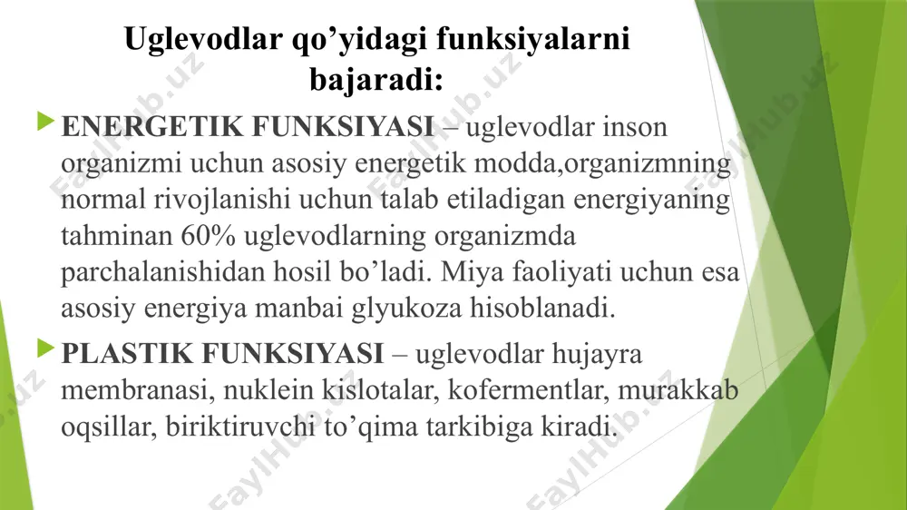 iqlar va meteorizm kuzatiladi. ontogenezda laktaza geni ekspressiyasining susayishi bolalar va kattalarga hos. ichakda laktaza fermenti miqdorini ulg‘ayish bilan kamayishiga bog‘liq. sut ichgandan so‘ng qusish, ich ketish, spazm, qorinda og‘riqlar va meteorizm kuzatiladi. ikkilamchi laktaza etishmasligi vaktinchalik ortirilgan shakli. turli xil ichak kasalliklari (gastrit, kolit, oshkozon-ichak yo‘llarida operatsiyalar) natijasida kuzatiladi saharoza-izomaltaza kompleksining etishmasligi bolalar ovqat ratsioniga kraxmal va saxaroza qo‘shilganida boshlanadi. bolalar shirinliklarni eyishni hohlamaydilar, glyukoza, fruktoza yaxshi hazmlanadi, saxaroza sinamasidan so‘ng qisman giperglikemiya kuzatiladi. orttirilgan saharoza-izomaltaza kompleksining etishmasligi ichak kasalliklarida kuzatiladi,dispepsiya kuzatiladi. hazmlanish jarayonlarini buzilishlari udf glyukozo-glikogen-transglikozidaza fermentining genetik defekti natijasida glikogen jigar va muskul to’qimasida juda kamayadi, hatto butunlay yuqoladi. bu nasliy kasallikni aglikogenozlar deyilib, 1962 yili levis tomonidan o’rganilgandir. bu kasallik ko’pincha yosh bolalarda uchrab, ularda og‘ir gipoglikemiya holati yuz beradi qonda glyukoza miqdorini boshqarilishi, uni yoshga bog‘liqligi qonda glyukozaning miqdori sog‘lom kishilarda normada ci bo’yicha 3,8-6,3 mmol/l kamayishi – gipoglikemiya, ko’payishi – giperglikemiya va giperglikemiya vaqtida …