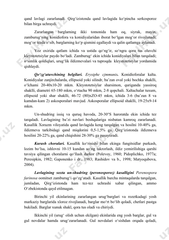 dan bo‘lib chiqadi, odatda, hujayralarga bo‘linmagan, ba’zan 1-2 septali, och-qo‘ng‘ir, qizg‘ish-qo‘ng‘ir tusli, o‘lchami 30-235x4-5 mkm. konidiyalar ingichka-teskari-to‘qmoq yoki deyarli bigiz ninasi shaklli, rangsiz, ko‘p (35 tagacha) septali, o‘lchami 30-365x3-5 mkm. zamburug‘ konidiyalari ekin ichida shamol, yomg‘ir, hasharotlar, yerga ishlov berish asbob-uskunalari va dehqonlar vositasida tarqaladi. kasallik 10-25°с orasida va 70% dan yuqori namlikda tez rivojlanadi, 5°с dan past va 30°с dan yuqori haroratda rivojlanmaydi. o‘simlik qoldiqlari va urug‘da qishlaydi. lavlagiga serkosporoz ba’zi begona o‘tlardan (olabo‘ta, eshaksho‘ra va b.q.) ham o‘tadi. lavlagidan keyin takroran ekilgan lavlagi, kuzgi bug‘doydan keyin ekilganiga nisbatan serkosporoz bilan 5 baravar kuchliroq zararlanadi. kurash choralari. nihollar ildiz yemirilishiga qarshi kurashda tavsiya qilingan tadbirlarni qo‘llash; chidamli navlar yaratish va ekish; hosilni yig‘ib olgach, tezda omborxonalarga joylash; dalada 1-2 kunga qoldirilsa, ildizmevalar so‘limasligi uchun ularni 15-20 sm balandlikdagi tuproq bilan ko‘mib qo‘yish; vegetatsiya davrida fungitsid purkash lozim (polevoy, 1960; gerasimov, osnitskaya, 1961; maslennikov i dr., 1974; peresipkin, 1982; macnab …