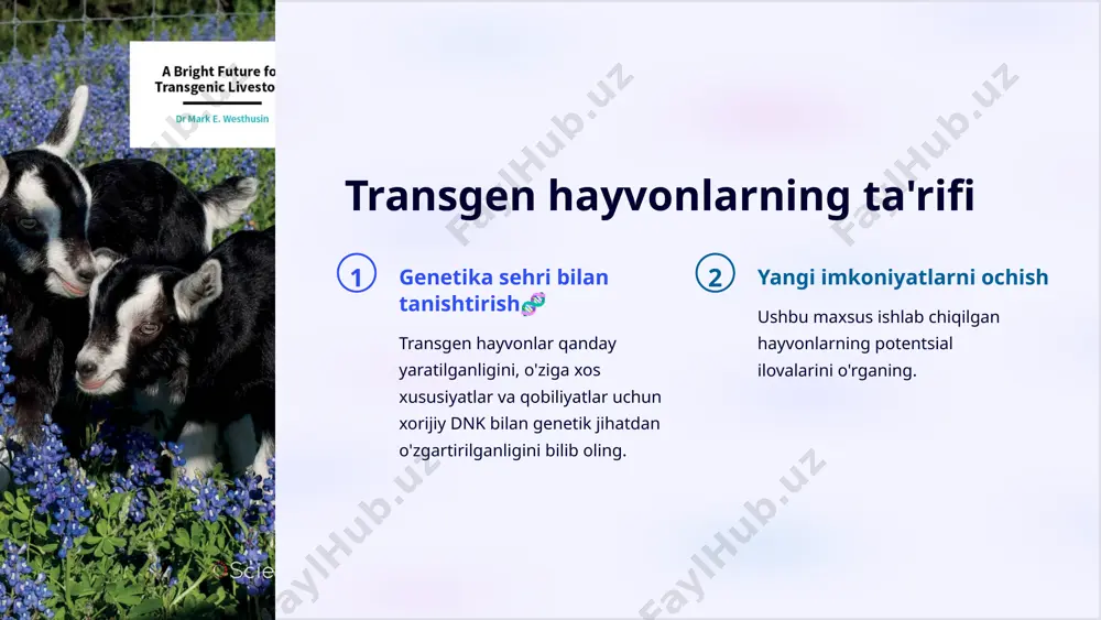 apiyasi uchun potentsial 1 genetik kasalliklarga umid transgen hayvonlar potentsial gen terapiyasini tushunish va rivojlantirish uchun qanday tirik laboratoriya bo'lib xizmat qilishini bilib oling. 2 gen tahriridagi yutuqlar crispr kabi genetik muhandislik texnologiyalari gen terapiyasining kelajagini qanday shakllantirayotganini bilib oling. 3 istiqbolli yutuqlar muvaffaqiyatli ilovalar va gen terapiyasi sohasidagi innovatsion tadqiqotlarning amaliy tadqiqotlarini o'rganing. 6 afzalliklar va qiyinchiliklar yuqori rentabellik, past narx transgen hayvonlarni bioreaktor sifatida ishlatish ishlab chiqarish samaradorligini oshirishi va xarajatlarni kamaytirishi mumkinligini bilib oling. axloqiy tashvishlarni hal qilish transgen hayvonlardan foydalanish bilan bog'liq axloqiy mulohazalar va mas'uliyatli tadqiqotning ahamiyatini o'rganing. normativ to‘siqlarni navigatsiya qilish transgen hayvonlardan olingan mahsulotlarning xavfsizligi va ishonchliligini ta'minlash va tartibga soluvchi ruxsat olishdagi qiyinchiliklar haqida bilib oling. 7 hozirgi tadqiqotlar va yutuqlar tibbiyotni qayta aniqlash sohadagi so'nggi yutuqlardan va ular tibbiyotning turli sohalarini qanday o'zgartirayotganidan xabardor bo'ling. belgilanmagan hududlarni kezish yangi texnologiyalar va texnikalar hayvonlarning transgen bioreaktorlarida mumkin bo'lgan chegaralarni qanday oshirayotganini bilib …