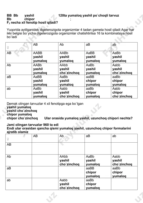 lgisi bo`yicha dominant genga ega fenotip genotip p p ♂aabb x ♀ aabb aa aa yumaloq gameta ab ab aa uzunchoq f2 aabb bb bb yashil 120ta yumaloq yashil po`choqli tarvuz bb chipor ; f2 necha xil fenotip hosil qiladi? yuqorida aytilganidek digeterozigota organizmlar 4 tadan gameta hosil qiladi agar har ikki belgisi bo`yicha digeterozigota organizmlar chatishtirilsa 16 ta kombinatsiya hosil bo`ladi ♂ ♀ ab ab ab ab ab aabb yashil yumaloq aabb yashil yumaloq aabb yashil yumaloq aabb yashil yumaloq ab aabb yashil yumaloq aabb yashil cho`zinchoq aabb yashil yumaloq aabb yashil cho`zinchoq ab aabb yashil yumaloq aabb yashil yumaloq aabb chipor yumaloq aabb chipor yumaloq ab aabb yashil yumaloq aabb yashil cho`zinchoq aabb chipor yumaloq aabb chipor cho`zinchoq demak olingan tarvuzlar 4 xil fenotipga ega bo`lgan yashil yumaloq yashil cho`zinchoq chipor yumaloq chipor cho`zinchoq ular orasida yumaloq yashil, uzunchoq chipori nechta? jami olingan tarvuzlar 960 ta edi endi …