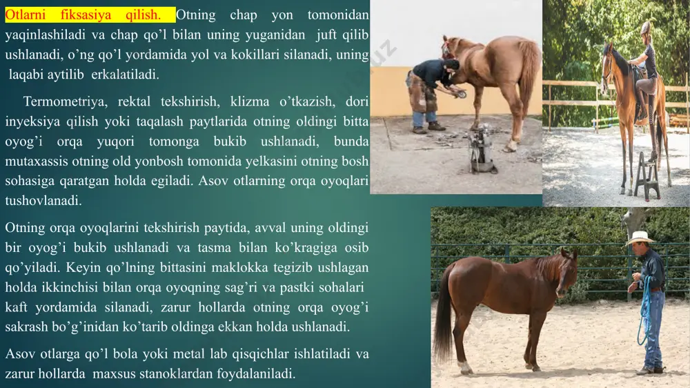 or yo‘l bilan ikkinchi xil bezlar qitiqlanadi. bu bezlardan ishlab chiqilgan suyuqlik quyuq shilimshiqni eritadi va harakatlana oladigan holatga keltiradi. shunda hilpirovchi epiteliylardagi tugunchalar ko‘tarilib, chang parchalari, mikroorganizmlar va kimyoviy moddalar saqlovchi shilimshiqni burun bo‘shlig‘i tomonga harakatlantirib, aksa urish yoki yo‘tal yordamida organizmdan chiqarib yuboradi. bundan tashqari, shilliq pardalarda ajralayotgan suyuqliklar tarkibida lizosim moddasi bo‘lib, bu modda mikroblarni o‘ldirish xususiyatiga ega. yot narsalar alyevolalarga tushib qolgan paytlarda esa, ularni darhol alyevolalardagi makrofaglar qamrab olib yo‘qotadi. shuning uchun sog‘lom hayvonlarda bronx va alveolalar hamma vaqt toza holatda bo‘ladi. nafas olish tizimining vazifalari gaz almashinuv vazifasi suv almashinuvida ishtirok etish vazifasi termoregulyasiya vazifasi. himoya vazifasi. hid bilish vazifasi. tovush hosil qilish vazifasi umumiy tekshirish usullari kuzatish paypaslash perkussiya auskultatsiya maxsus tekshirish usullari flyurografiya rentgenoskopiya tekshirish tartibi. nafas tizimi quyidagi tartib asosida tekshiriladi: burundan oqayotgan suyuqlikni tekshirish; burun teshiklari va burun qanotlarini tekshirish; burun bo‘shlig‘i va qo‘shimcha bo‘shliqlarni teshirish; hiqildoq va kekirdakni tekshirish; …