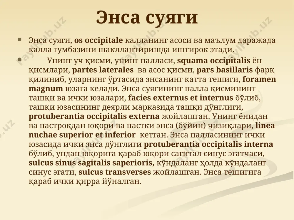 калла суяги - Page 5