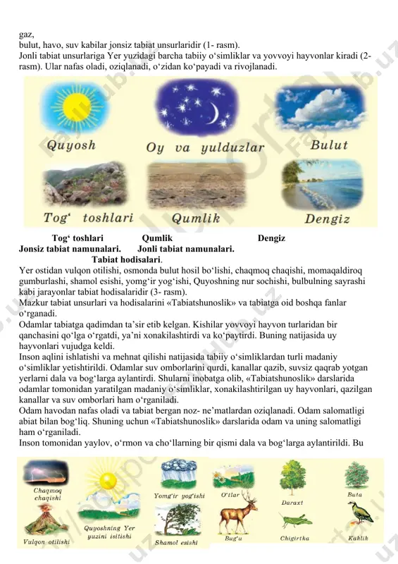 i va isitadi. quyosh nuridan tog‘, yaylov, o‘rmon, cho‘llardagi o‘simliklar bahramand bo‘ladi. tog‘, o‘rmon, cho‘llarda turli hayvonlar yashaydi. osmonda har xil qushlar parvoz qiladi. ba’zida osmonda bulutlar suzib yuradi. ayrim kunlari yomg‘ir yog‘adi. havo soviganda esa yomg‘ir qorga aylanadi. qor va yomg‘ir suvlaridan daryolar hosil bo‘ladi. ko‘pgina daryolar o‘z suvini ko‘l yoki dengizlarga quyadi. daryo, ko‘l va dengizlar har xil suv o‘tlari va suv hayvon- lariga boy. bularning barchasi tabiatdir. kishilar kundalik faoliyatida foydalanadigan gaz, toshko‘mir, metallar yer ostidan olinadi. ular ham tabiatga mansubdir. shunday qilib, inson qo‘li bilan yaratilgan narsalardan tashqari, atrofimizdagi olam tabiatni tashkil etadi. tabiat jonsiz va jonli tabiat unsurlariga bo‘linadi. 1 quyosh, yulduzlar, oy, yer, tosh, tabiiy gaz, bulut, havo, suv kabilar jonsiz tabiat unsurlaridir (1- rasm). jonli tabiat unsurlariga yer yuzidagi barcha tabiiy o‘simliklar va yovvoyi hayvonlar kiradi (2- rasm). ular nafas oladi, oziqlanadi, o‘zidan ko‘payadi va rivojlanadi. tog‘ toshlari qumlik dengiz jonsiz tabiat namunalari. …