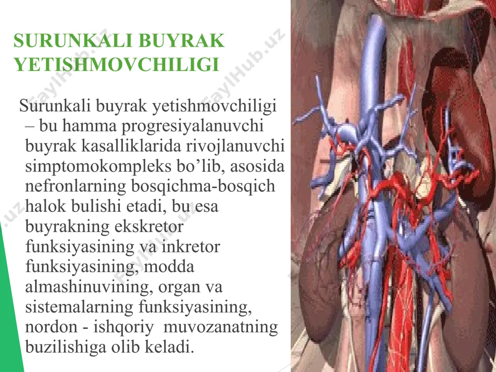 b, glomerulonefrit, pielonefrit va boshqa sababli interstsial nefritlar hisoblanadi. sbye ning rivojlanishida qaysi etiologiyadan qatiy nazar morfologik o'zgarishlar bir hil bo'lib, glomeruloskleroz, interstsial fibroz, saqlangan nefronlarning gipertrofiyasi bilan kechadi. koptokchalar ichidagi gemodinamik o'zgarishlar gipertenziyada namoyon bo'lib, u koptokchalar arteriolalari tonusining pasayishi va rezervdagi buyraklar funksiyasining yo'qolishi tufayli ro'y beradi. patogenezi: sbye ning patogenezini 2 ta jarayon tashkil qiladi: 1. buyraklar parenhimasining sekinlik bilan sklerozga uchrashi va harakat qilayotgan nefronlar massasining kamayishi. 2. har bir nefrondagi koptokchalar filtrasiyasining kamayishi. bu o'z navbatida bazi bir biologik aktiv moddalarning to'planishiga, bazilarining esa etishmovchiligiga sabab bo'ladi. azot almashinuvining hosilalari, o'rta molekulyar og'irlikka (300-250 dalton) moddalar to'planib qoladi, juda kam miqdorda bo'ladi. patogenezi bu molekulyar moddalar tarkibi paratgarmon, natriy uretik omil va boshqa turli hil ingibitorlar (dnk, gemoglobin, fagositoz sintezlari) ham kiradi. ular bilan uremik intoksikasiya bog'liqligi o'rganilgan. organizmda toksik moddalar ko'paygan holatda bir hil moddalarning sintezi pasayadi, eritropoetinning sintezi pasayganligi sababli anemiya rivojlanadi, vitamin …