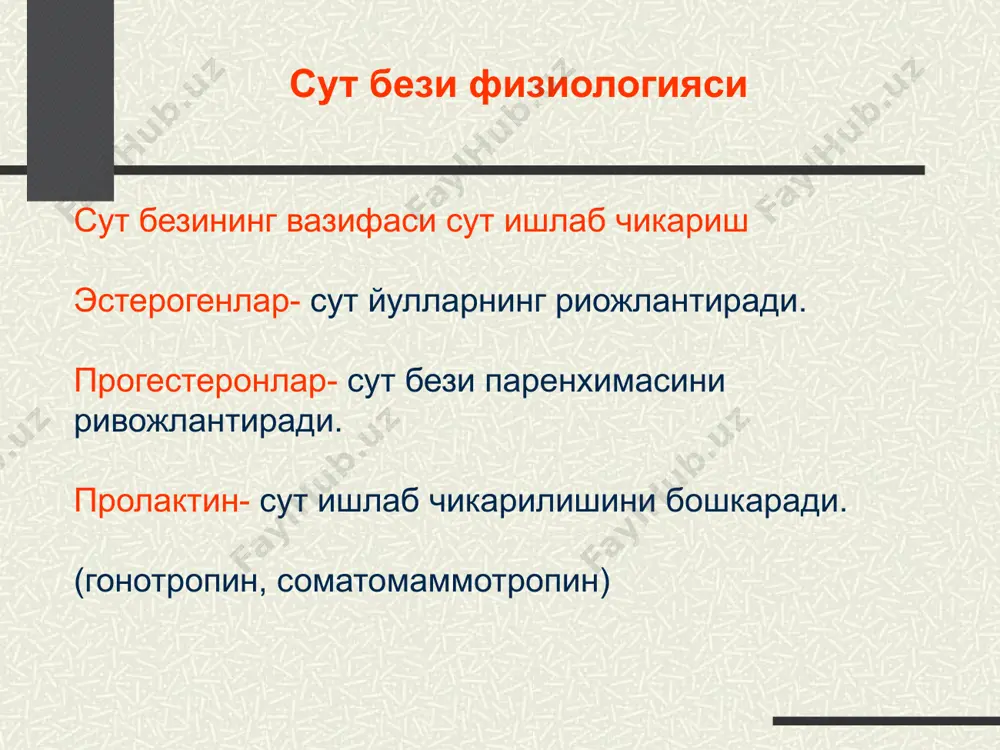 иллоид) фиброаденома 3. аденофиброма 4. аденома 4. папиллома 23 image3.png image4.png image5.png image6.png image7.png image8.png image9.png image10.png image11.png image12.png image13.png image1.jpeg image2.png