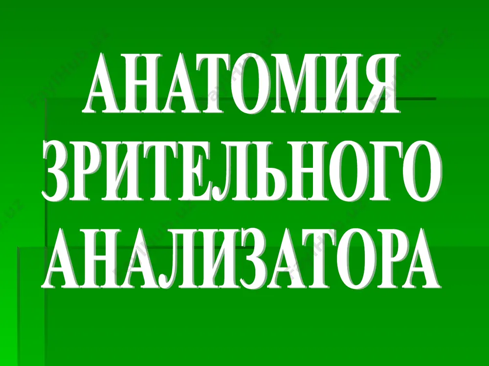, neelastichnaya, gomogennaya, gladkaya, ne sposobna k regeneratsii, i pri ee povrejdenii ostayutsya pomutneniya tolshina ee v tsentre do 0,02 mm stroma eto samiy glavniy i massivniy sloy tolshinoy do 0,5 mm sostoit iz gomogennix neregeneriruyushix plastinok (60-65 sloev), raspolojennix parallelno poverxnosti rogovitsi destsemetova obolochka raspolojena pod stromoy i ne svyazana s ney ochen prochnaya, elastichnaya, gomogennaya, regeneriruet sostoit iz nekotorogo kolichestva ochen tonkix besstrukturnix plastinok tolshina do 0,05 mmv oblasti limba razvoloknyaetsya i prinimaet uchastie v obrazovanii ostova trabekul ugla peredney kameri. endoteliy peredney kameri cherez ego geksagonalnie kletki, raspolagayushiesya odnim plastom, osushestvlyaetsya regulyarnoe i strogo dozirovannoe postuplenie kamernoy vlagi v rogovitsu tolshina 0,05 mm xorosho i bistro regeneriruet rogovitsa imeet v svoem sostave 18% definitivnogo kollagena mezenximalnogo proisxojdeniya okolo 2% sostavlyayut mukopolisaxaridi, belki, lipidi, vitamini na dolyu vodi prixoditsya 80% pitanie rogovitsi osushestvlyaetsya dvoyako: za schet diffuzii iz perilimbalnoy sosudistoy seti, obrazovannoy perednimi tsiliarnimi arteriyami, i osmosa iz …
