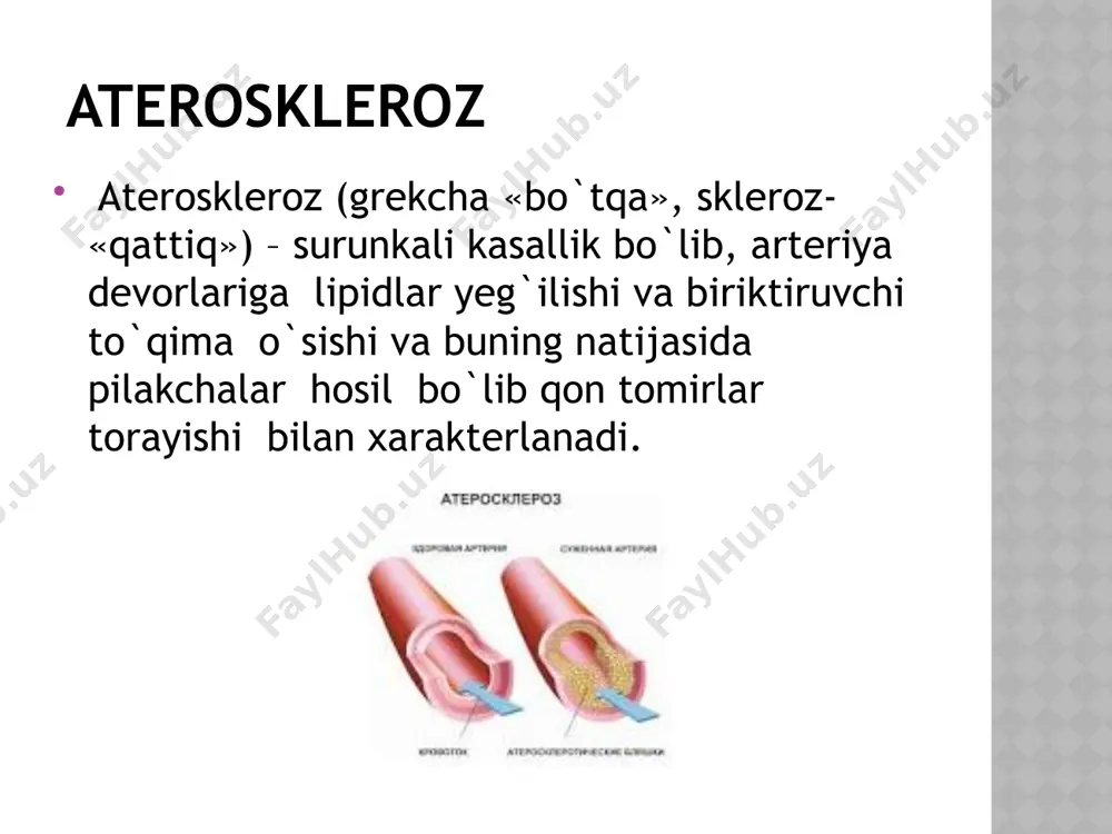 ateroskleroz - Page 3
