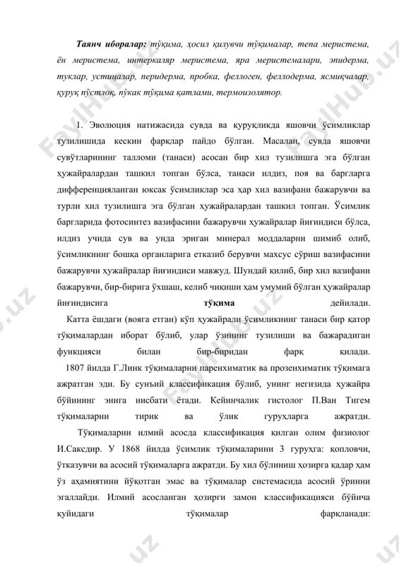 м ўз аҳамиятини йўқотган эмас ва тўқималар системасида асосий ўринни эгаллайди. илмий асосланган ҳозирги замон классификацияси бўйича қуйидаги тўқималар фарқланади: 1. меристематик ёки ҳосил қилувчи тўқималар. 2. қопловчи тўқималар. 3. асосий тўқималар. 4. механик тўқималар. 5. ўтказувчи тўқималар. 6. ажратувчи система. кўпчилик ҳолларда ажратувчи система ўтказувчи тўқималар жумласига қўшиб ўрганилади. 2. ўсимликларнинг бўйига ўсиши, энига кенгайиши ёки янги органларнинг пайдо бўлиши негизида ҳосил қилувчи тўқималар ётади. келиб чиқишига кўра ҳосил қилувчи тўқималар бирламчи ва иккиламчи, ўсимликда жойлашишига кўра эса учки (тепа), ён ва интеркаляр ҳосил қилувчи тўқималарга бўлинади. тепа меристема вегетатив новда ва гул новда ҳосил қилувчи ҳамда илдиз учи меристемаларига бўлинади ва улар илдиз билан пояларнинг учида жойлашади. ён меристемаларга илдиз ва поялар марказий цилиндрининг атрофида жойлашган перицикл прокамбий ва камбийлар киради. бирламчи меристема уруғ муртагида, поя, илдиз ва уларнинг учларида, ён поялар ҳамда куртакларда жойлашиб, янги органларнинг ҳосил бўлишини, шунингдек ўсимликларнинг бўйига ўсишини таъминлайди. бирламчи тепа меристемага перицикл …