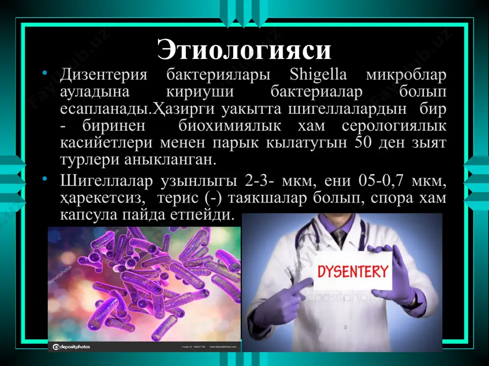 ушылык (субклиник белгилерсиз). 3. хроникалык дизентерия а) кайталаныушы б) узликсиз в)аралас откир дизентерия. бир неше хаптеден 3 айга шекем созылады хам циклик таризде кешеди. откир дизентерия бир қанша дауирлерде кешеди. 1. жасырын дауир 2. баслангыш дауир 3. хауиж алыу дауири 4. кеселликтин белгилеринин сониу хам сауалык дауири клиникасы жасырын дауири 12 саатдан 7 кунге шекем (орташа 2-3 кун) созылады. бул дауир патогенезинин бирлемши– регионар инфекция фазасына туура келеди. бул дауир ишекте козгатыушылар топланады хам кобейеди. клиникасы баслангыш дауири. айырым жагдайлардаа дизентериянын баслангыш дауири кыска муддетли– улыума захарлениу хам дистал колит белгилеринин жуда тез рауажланыуы менен характерленеди. баслангыш дауиринин созылыуы бир қанша вариантларда кешеди. хаммеден коп колитик варианти ушырасады. бул вариант банал колит формасында болып, тенезмлер, жалган шакырыулар, сигмасимон ишек кыскарыуы, бирак даретте кан барлыгы гузетилмейди, энтерит варианты– қарында аурыу, киндик атирапында карыннын аурыуы хам жугырлауы, сууга уксас, суйык иш кетиу гузетиледи. клиникасы кеселликтин хауиж алыу дауири. дизентериянын типик формаларында наукаслар …