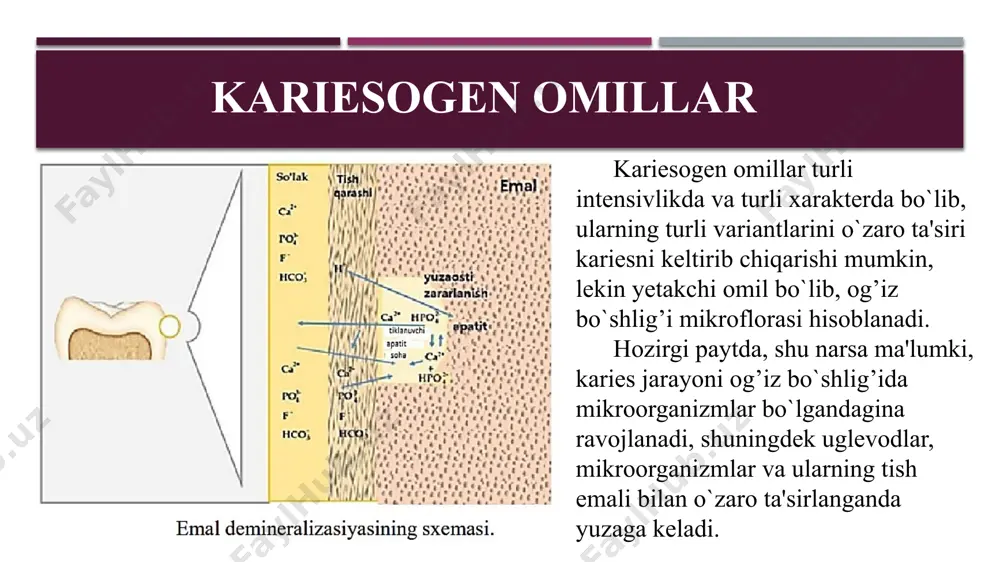 kariesni konservativ davolash usullari karies profilaktikasi - Page 5