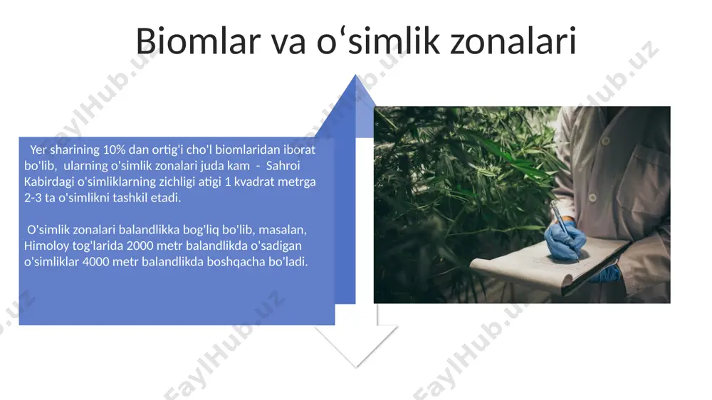 oʻsimliklarni geografiyasi asoslari - Page 4