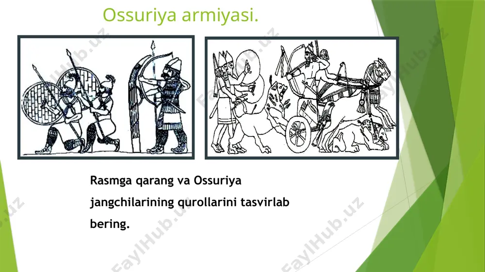 ossuriya podsholigi - Page 5